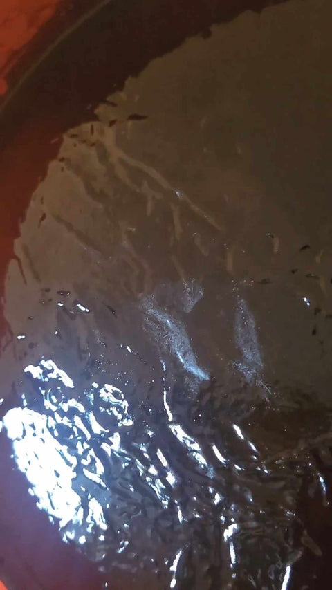 Blue Lotus Resin 3:1 Extract