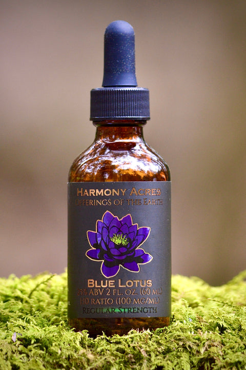 Blue Lotus tincture