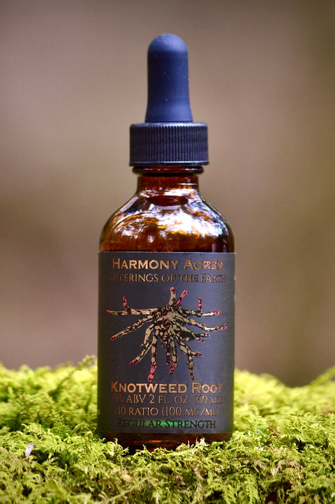 Japanese Knotweed Root Tincture