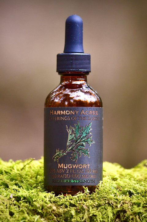 Mugwort Tincture
