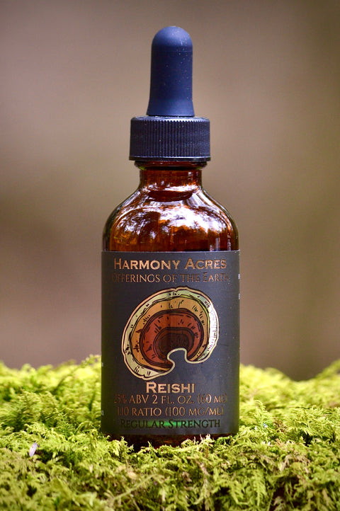 Wild Reishi Tincture