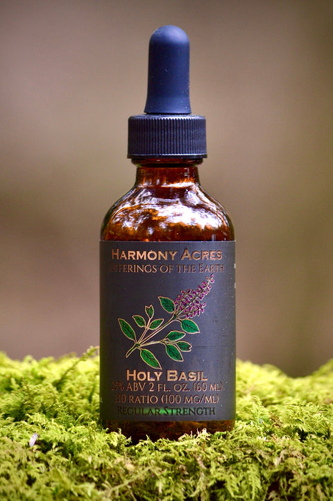 Tulsi Basil Tincture