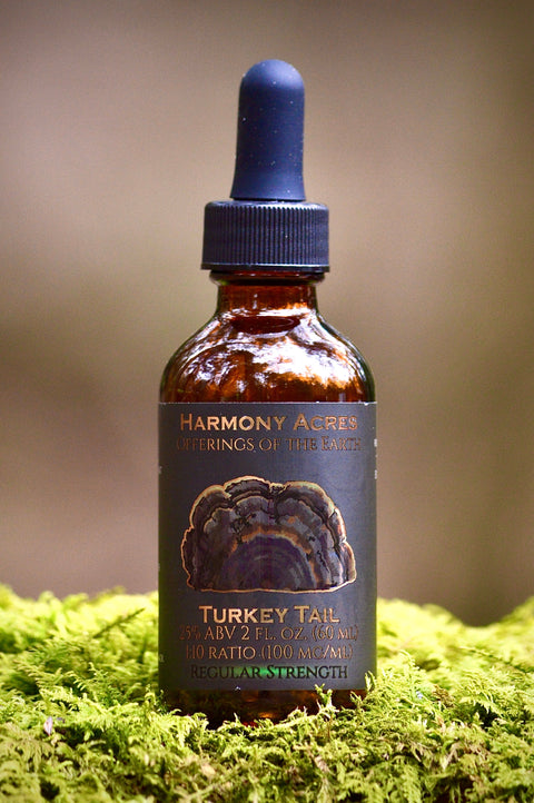 Wild Turkey Tail Tincture