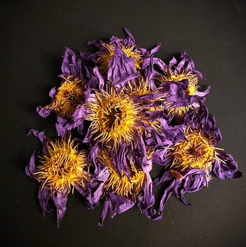 Blue Lotus tincture