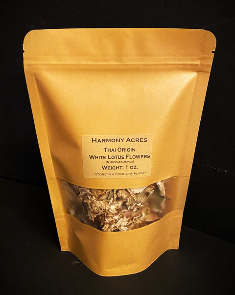 White Lotus flowers bulk
