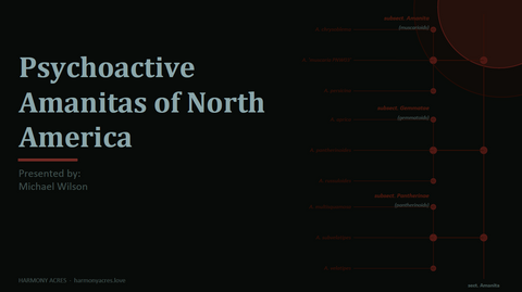 Psychoactive Amanitas of North America: ID & Range Guide