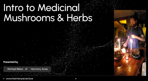 Introduction to Medicinal Herbs & Mushrooms