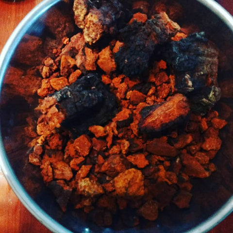 chaga chunks in a metal bowl