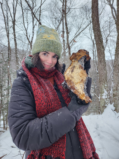 A woman in a snowy forest holding a large chunk of chaga like a baby, wearing a green knit beanie, a red and black knit scarf, and a dark winter jacket.
