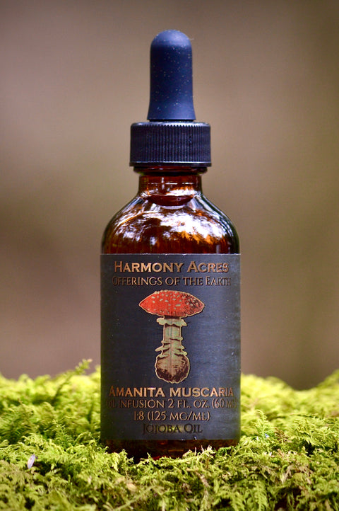Organic Amanita Muscaria Jojoba Oil Infusion