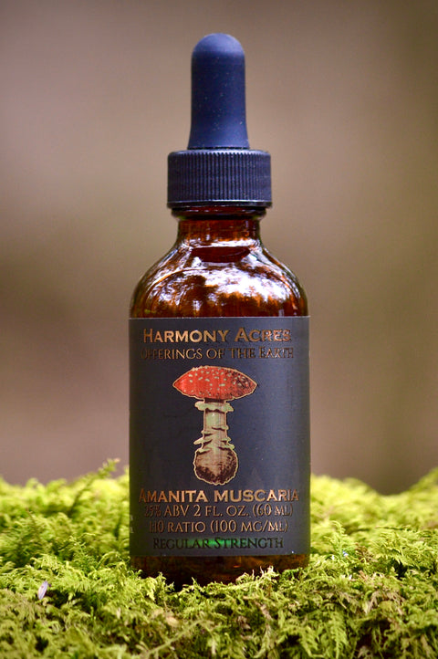 Amanita Muscaria tincture