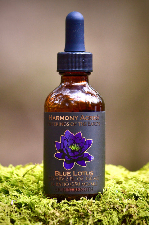Blue Lotus tincture