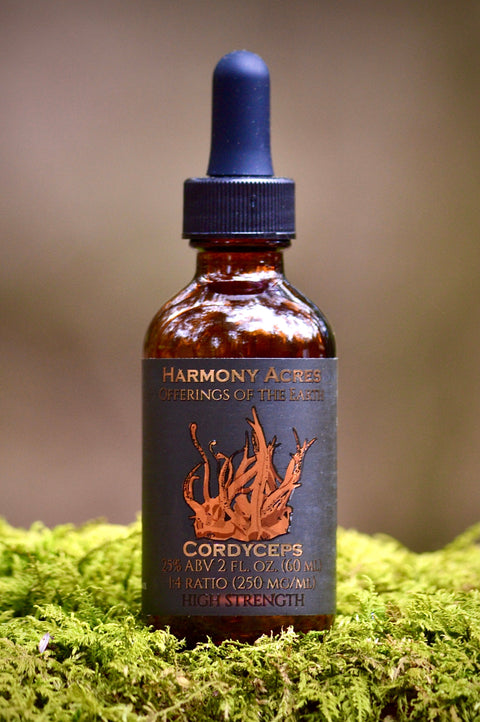 Cordyceps Tincture