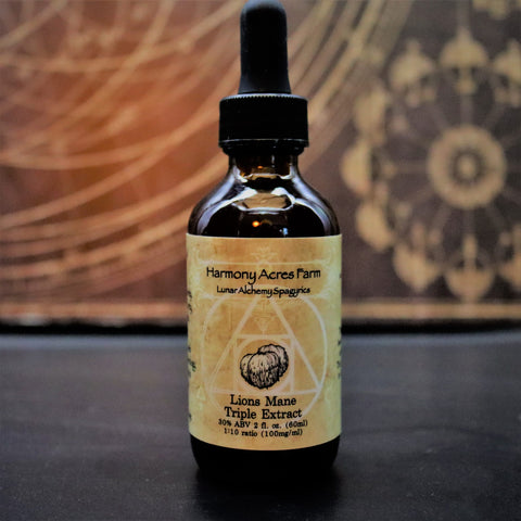 Lions Mane Spagyric Triple Extract