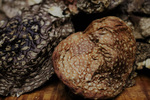 amanita pantherina, amanita muscaria, psychedelic, magic mushroom, psychoactive