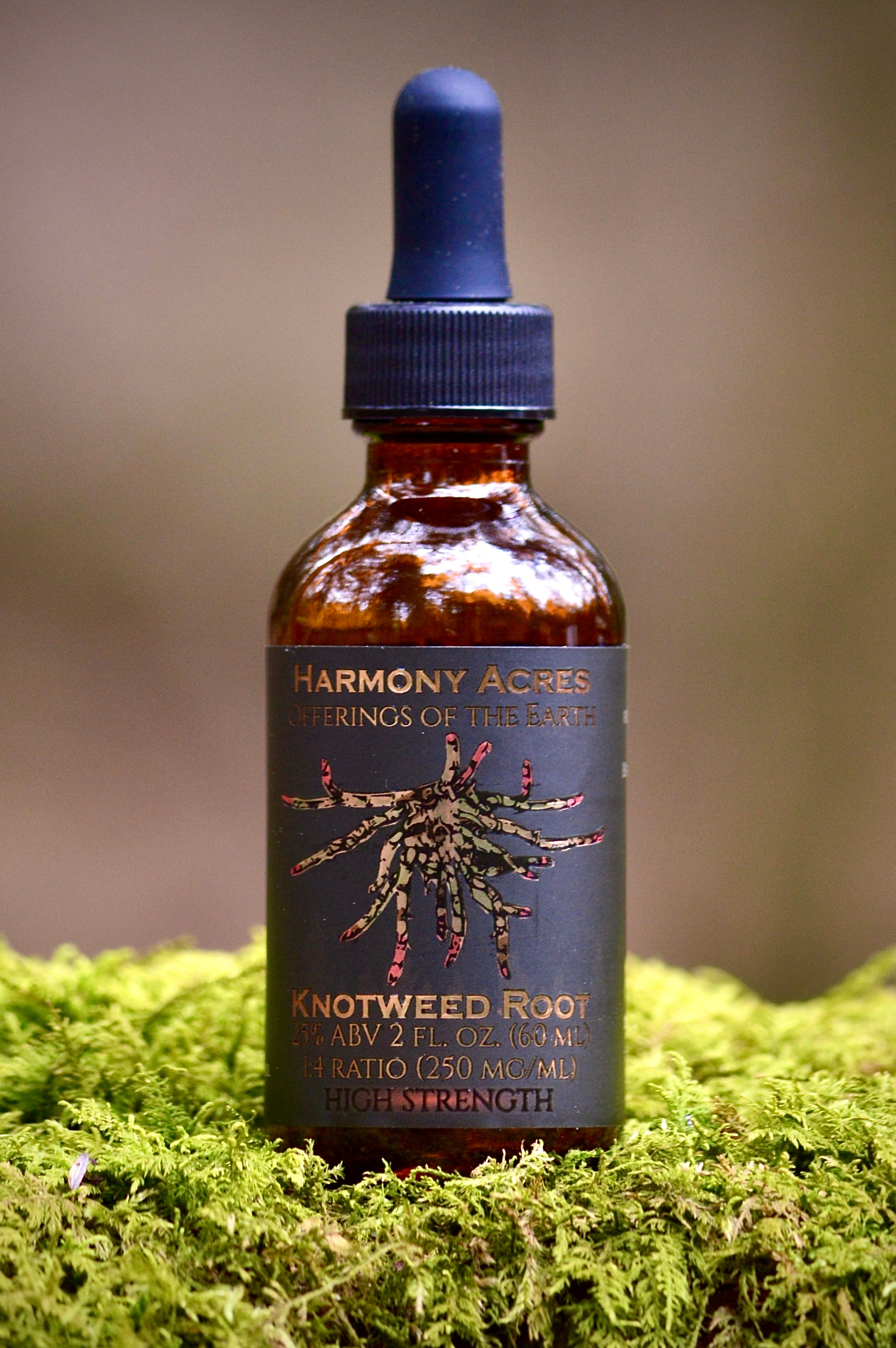 Japanese Knotweed Root Tincture – Harmony Acres