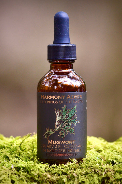 Mugwort Tincture