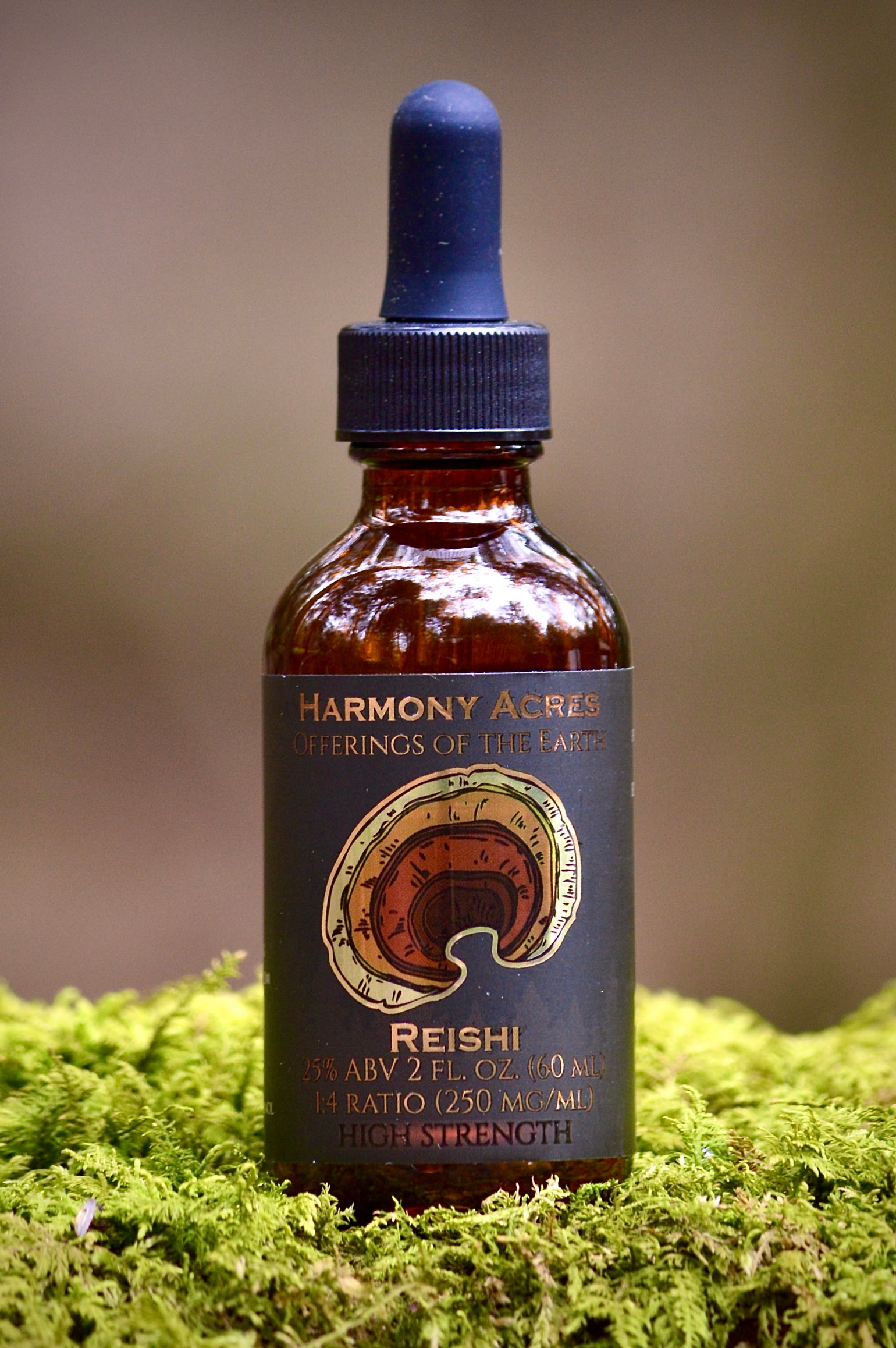 Reishi mushroom tincture