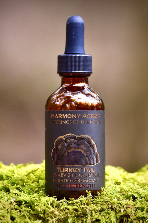Wild Turkey Tail Tincture
