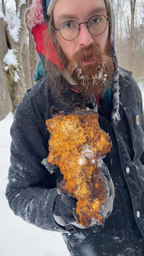 A bearded wizard druid wearing winter gear, including a knit hat, black jacket, and gloves, holds up a large, rough chaga fungus covered in snow in an outdoor snowy forest setting.