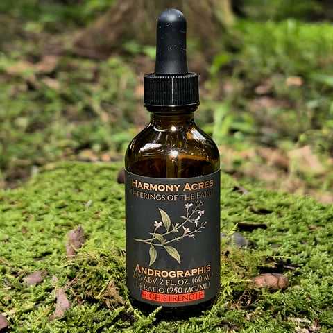 Andrographis paniculata Tincture