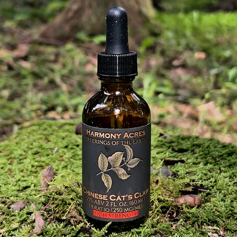 Chinese Cat's Claw Tincture