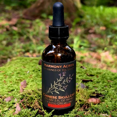 Chinese Skullcap tincture