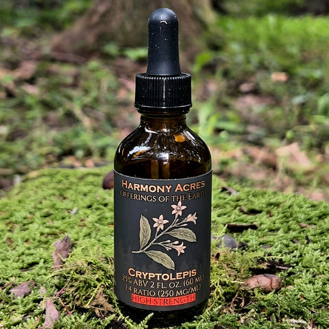 Cryptolepis sanguinolenta tincture