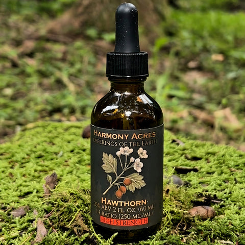 Hawthorn tincture