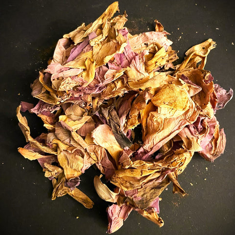 Pink Lotus flowers bulk