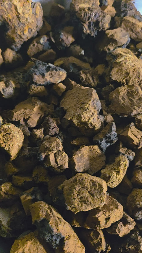 chaga chunks being processed to turn into chaga granuals
