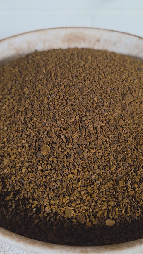 Grinding dried chaga chunks into fine 50-mesh granules