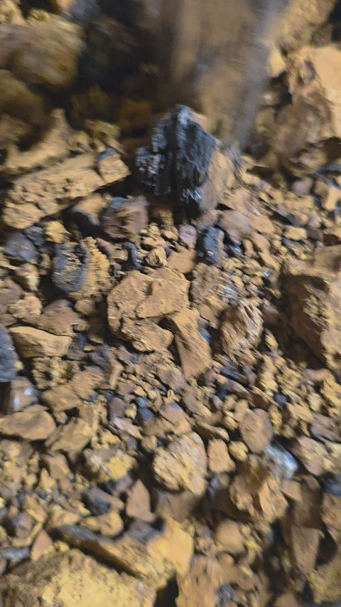 chaga chunks being ground into granuals