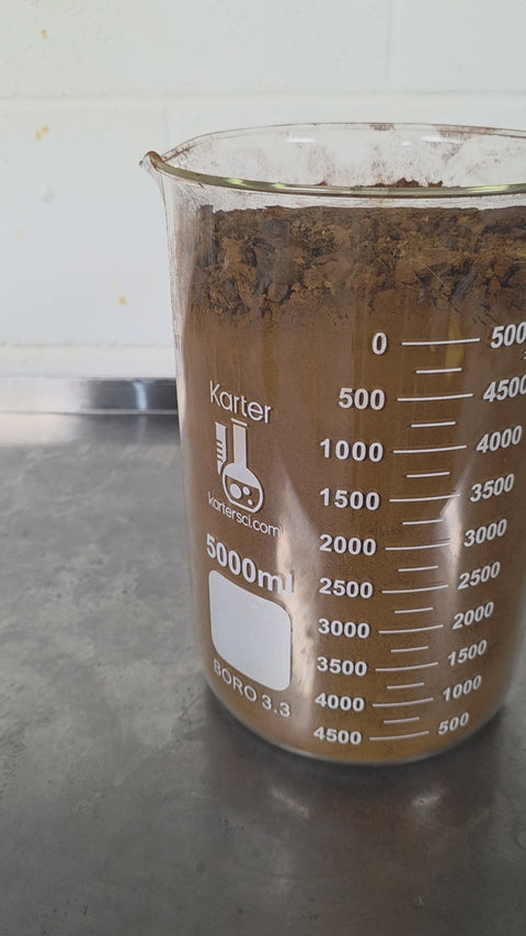 chaga granuals and some powder in a 500 ml beaker
