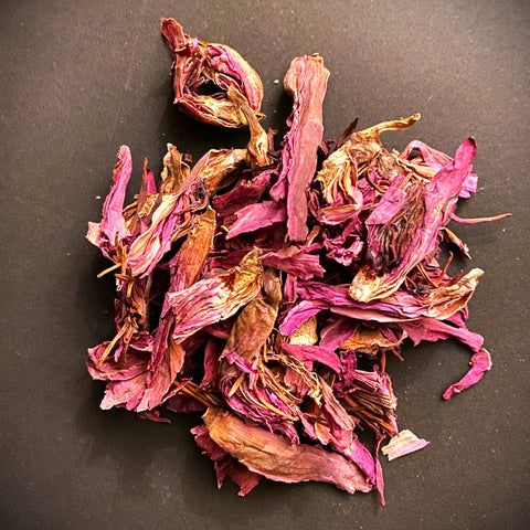 Red Lotus flowers bulk