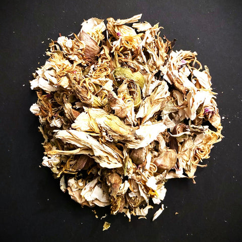 White Lotus flowers bulk